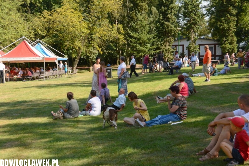 Miodowe lato w Zarzeczewie
