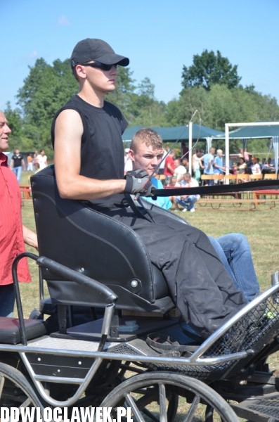 Niesamowite zawody w powożeniu końmi