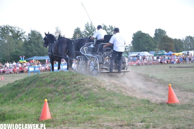Niesamowite zawody w powożeniu końmi