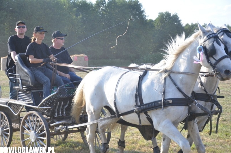 Niesamowite zawody w powożeniu końmi