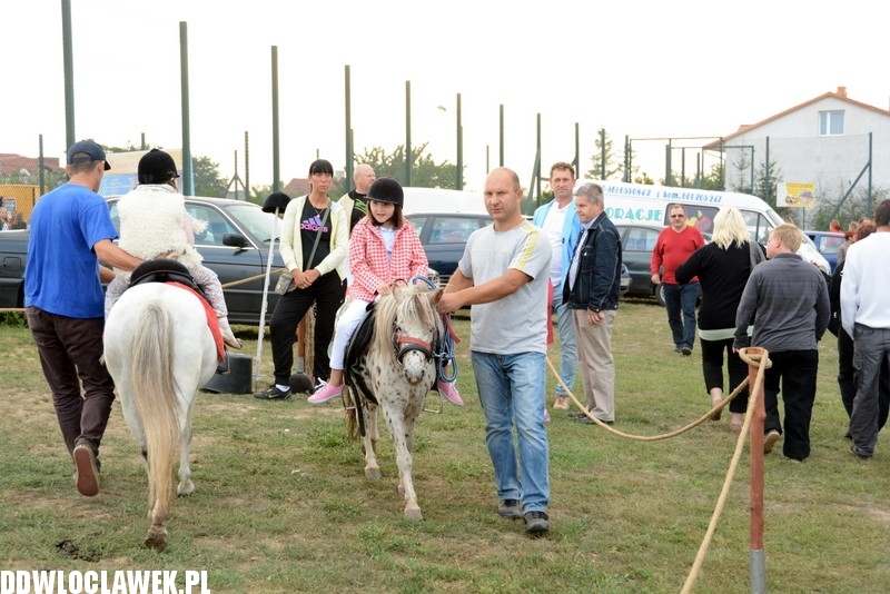 Dożynki powiatowe w Baruchowie