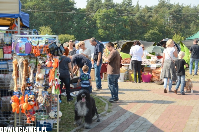 Kujawska Wystawa Psów Rasowych
