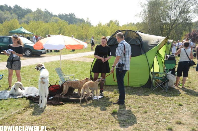 Kujawska Wystawa Psów Rasowych