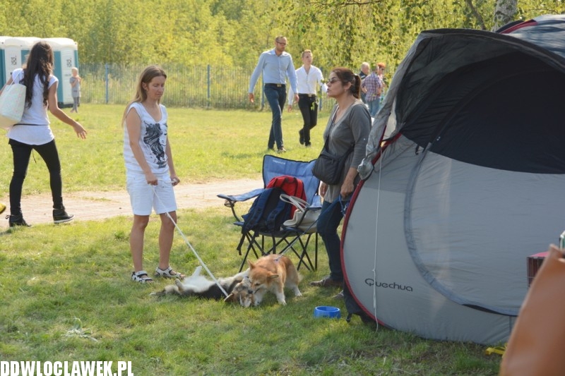 Kujawska Wystawa Psów Rasowych