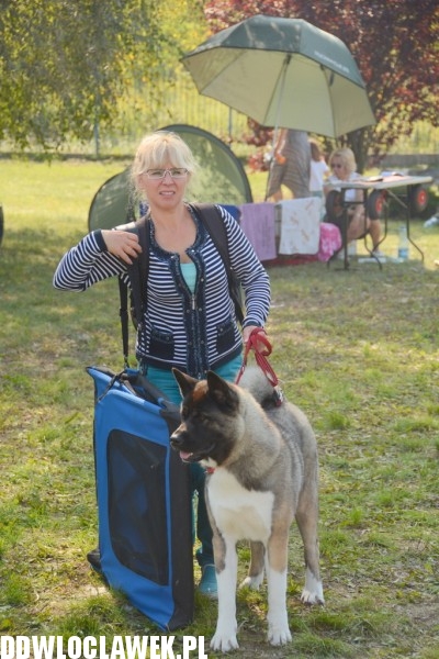 Kujawska Wystawa Psów Rasowych