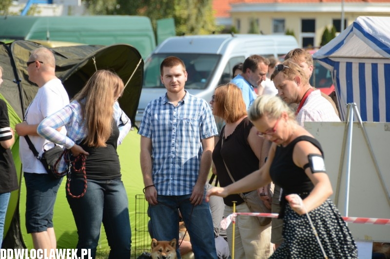 Kujawska Wystawa Psów Rasowych