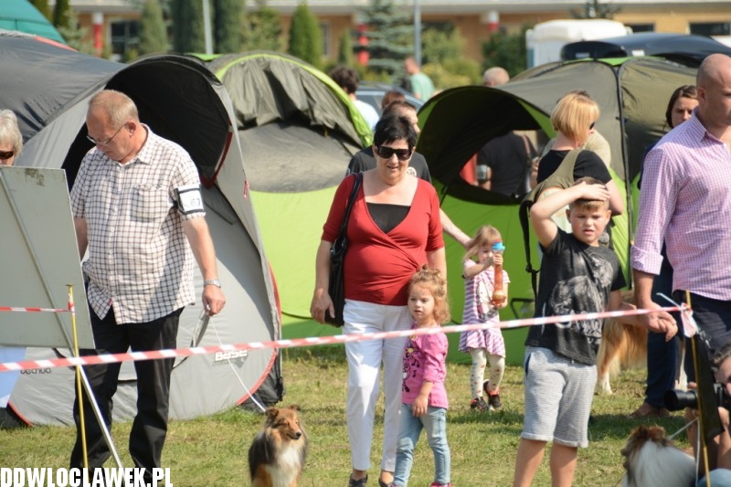 Kujawska Wystawa Psów Rasowych