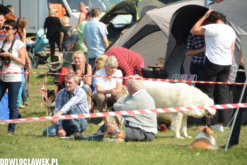Kujawska Wystawa Psów Rasowych