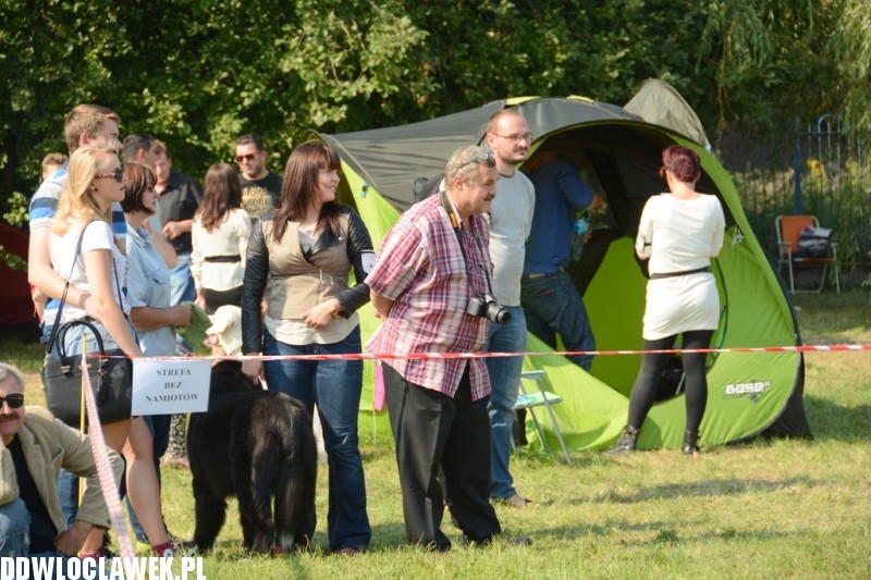 Kujawska Wystawa Psów Rasowych