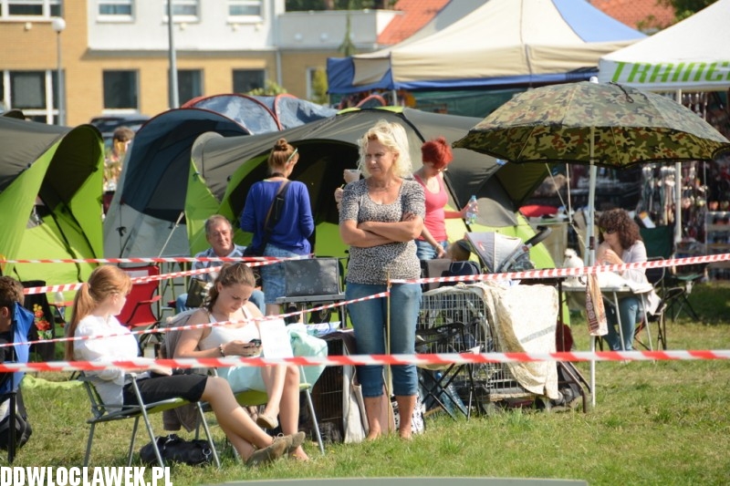 Kujawska Wystawa Psów Rasowych