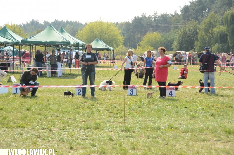 Kujawska Wystawa Psów Rasowych