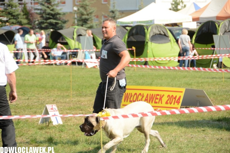 Kujawska Wystawa Psów Rasowych