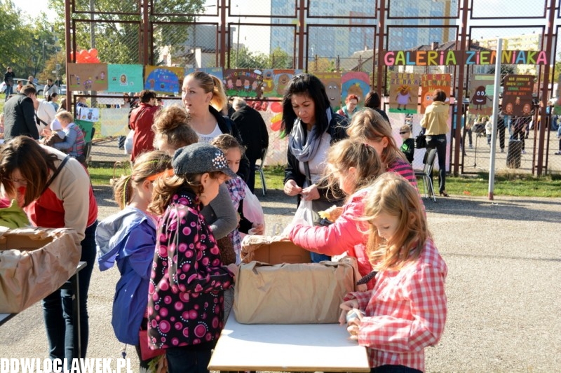 Piknik rodzinny Święto Ziemniaka