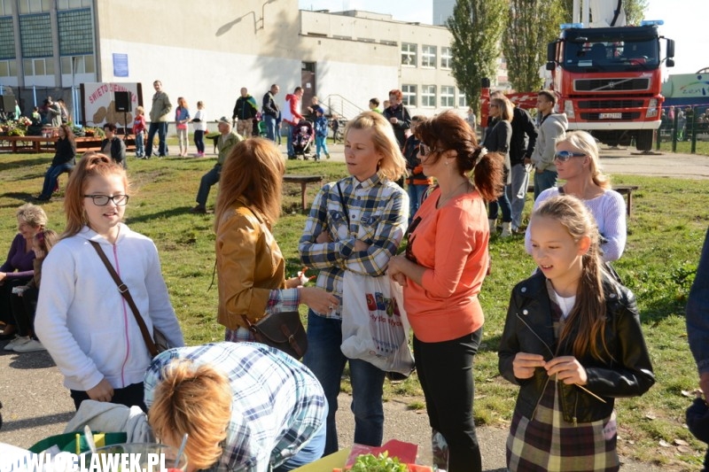 Piknik rodzinny Święto Ziemniaka