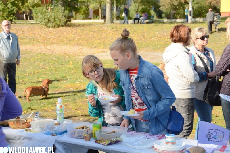Piknik rodzinny Święto Ziemniaka