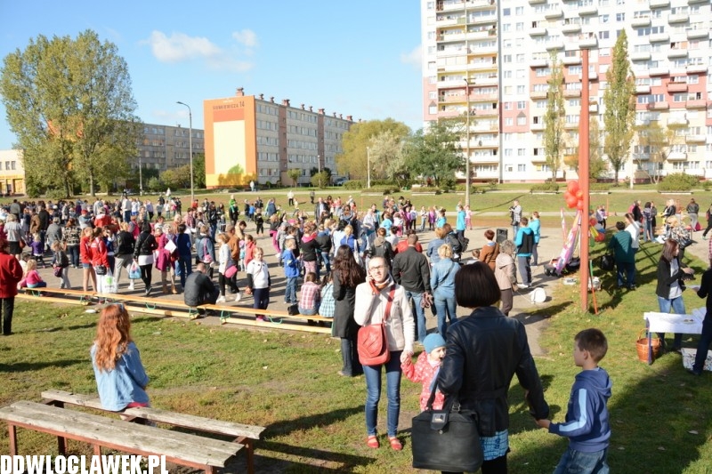 Piknik rodzinny Święto Ziemniaka