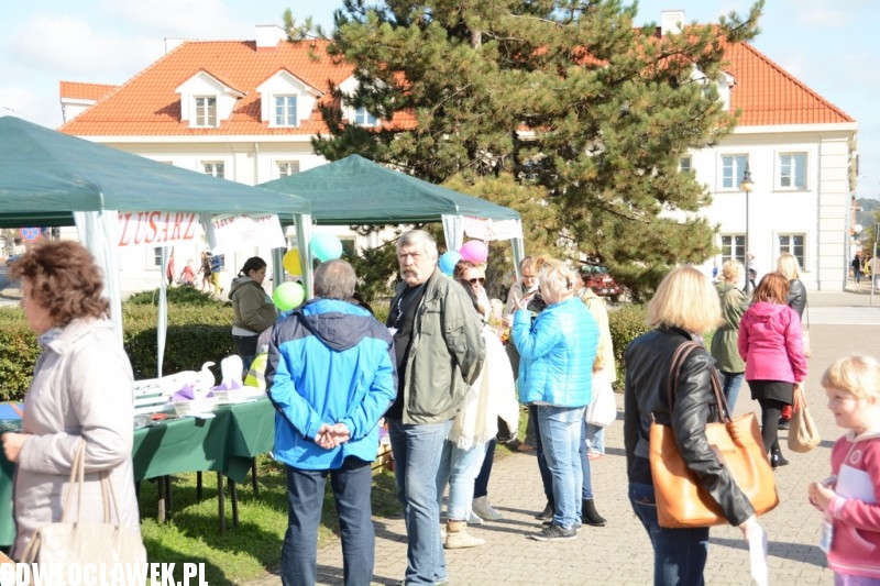 Piknik rodzinny na Placu Wolności