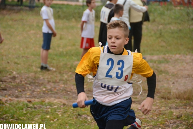 Sztafetowe biegi przełajowe na Zawiślu