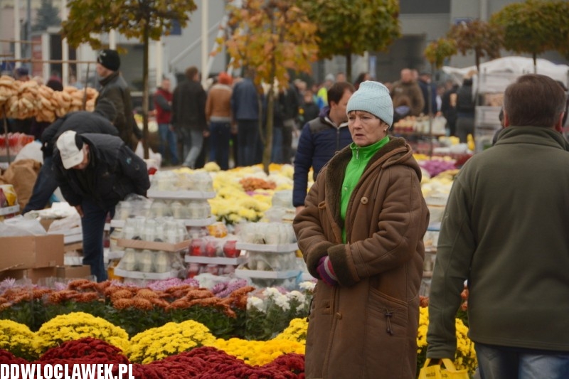 1 listopada na Cmentarzu Komunalnym