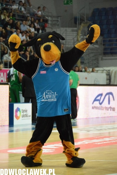 Anwil Włocławek - Stelmet Zielona Góra