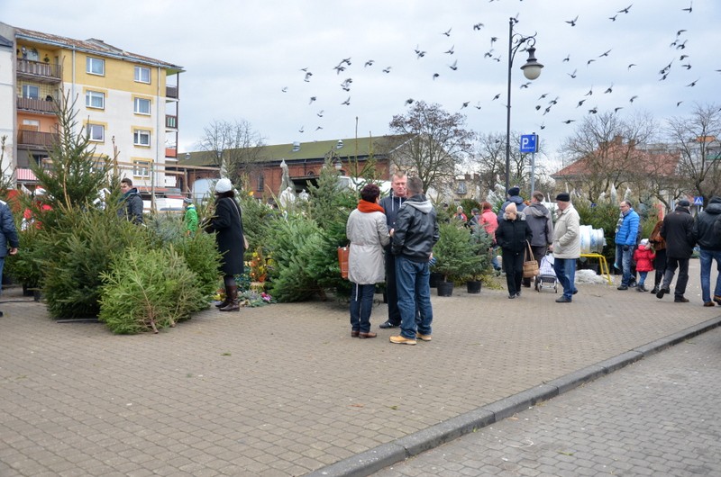 Gorączka przedświątecznych zakupów