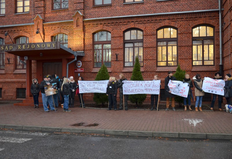Zabójca psa przed sądem