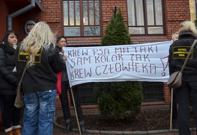 Zabójca psa przed sądem