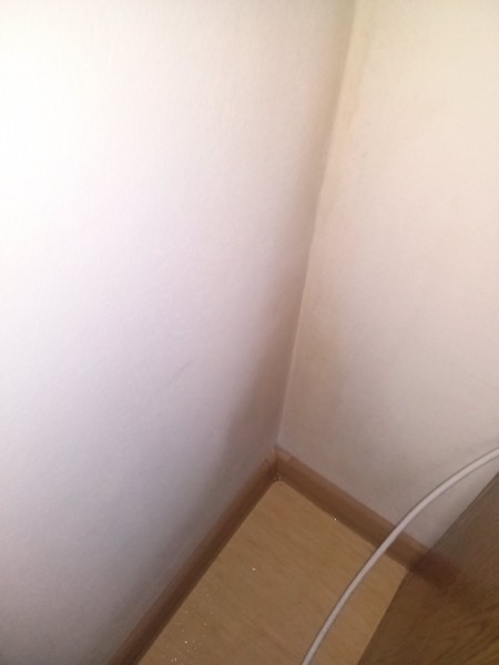 Zagrzybione mieszkanie socjalne