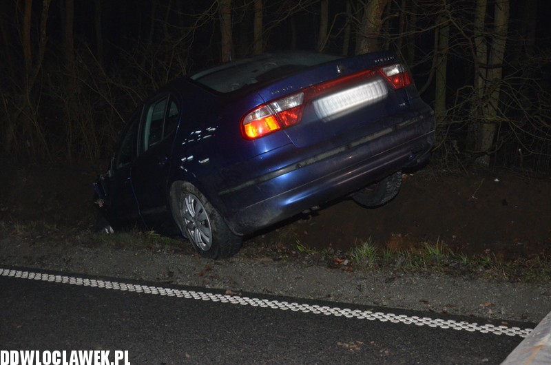 Dzik spowodował wypadek