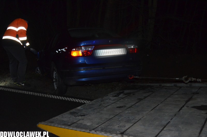 Dzik spowodował wypadek