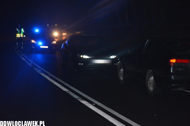 Dzik spowodował wypadek