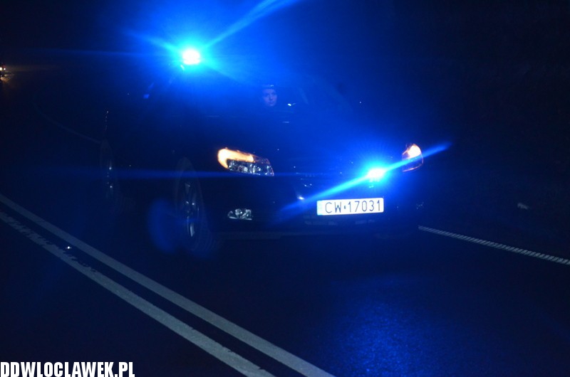 Dzik spowodował wypadek