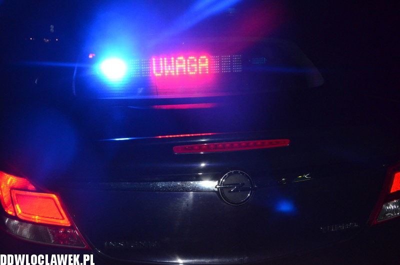 Dzik spowodował wypadek