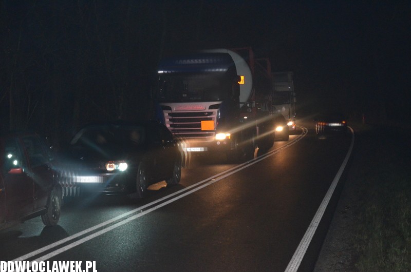 Dzik spowodował wypadek