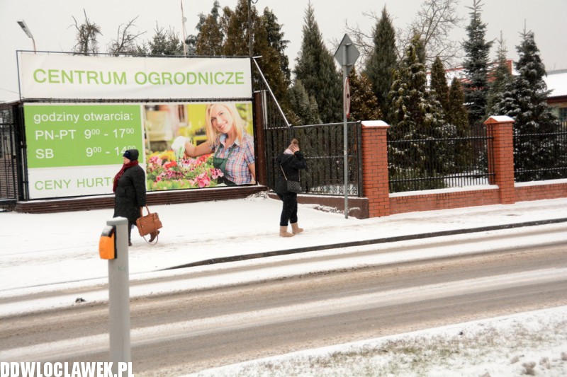 Śnieżna zima wróciła do Włocławka