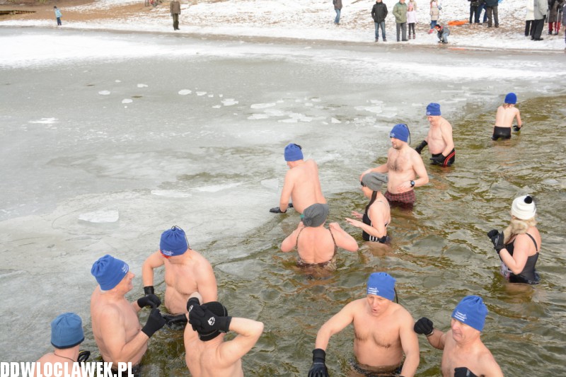 Kąpiel morsów w jeziorze Czarnym