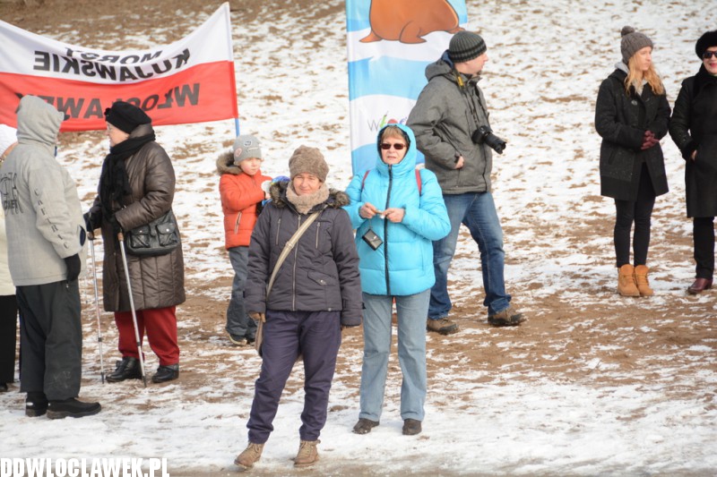 Kąpiel morsów w jeziorze Czarnym