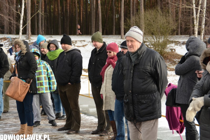 Kąpiel morsów w jeziorze Czarnym