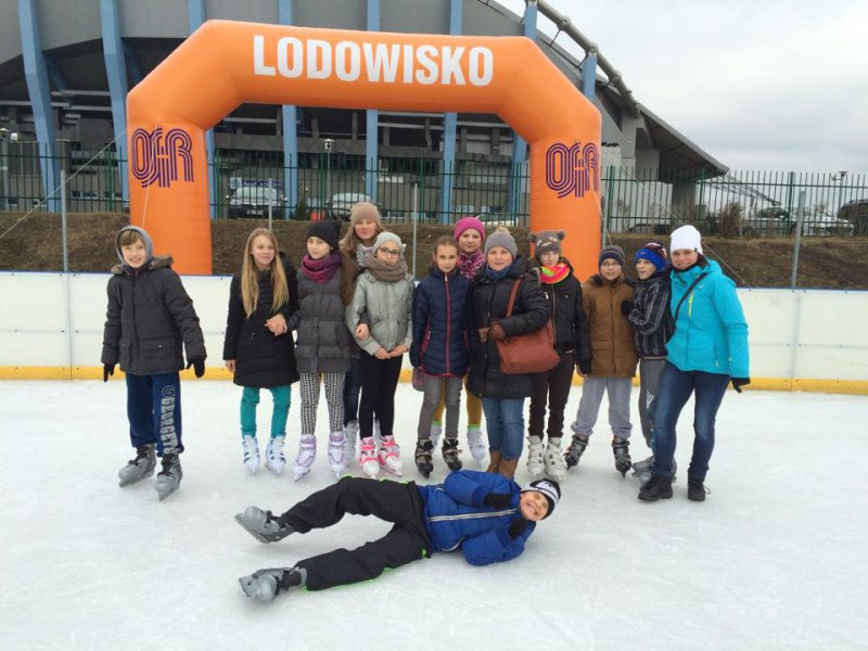 Grupy zorganizowane na lodowiskach