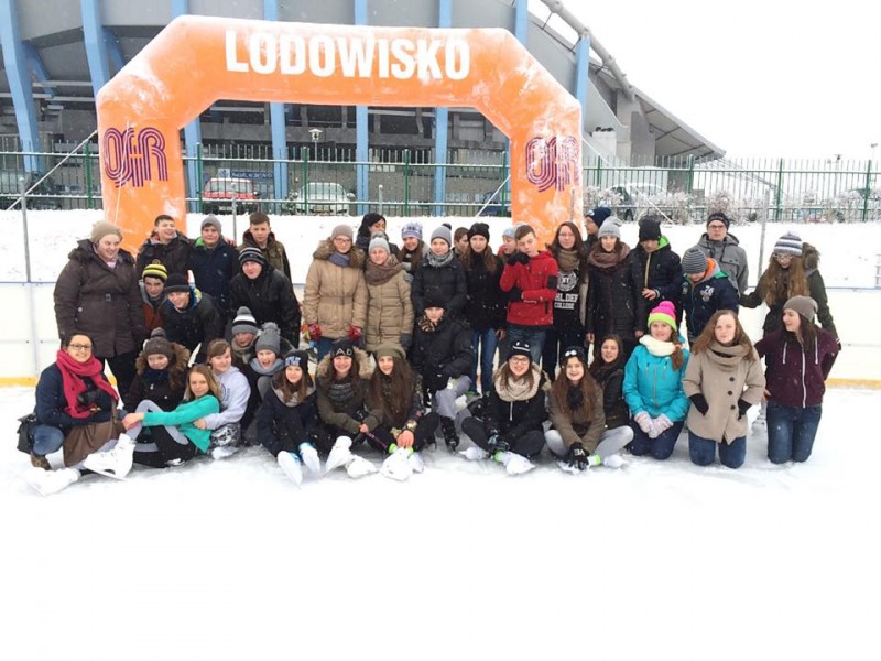 Grupy zorganizowane na lodowiskach