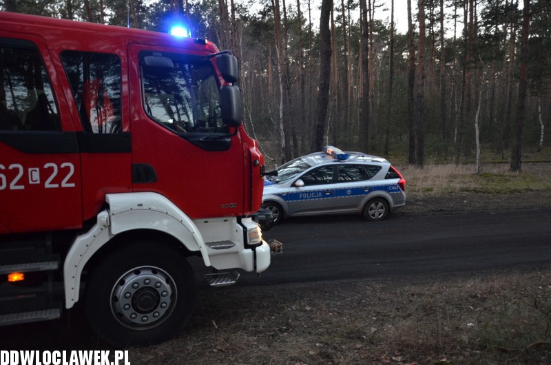 Auto uderzyło w drzewo na ul. Leśnej