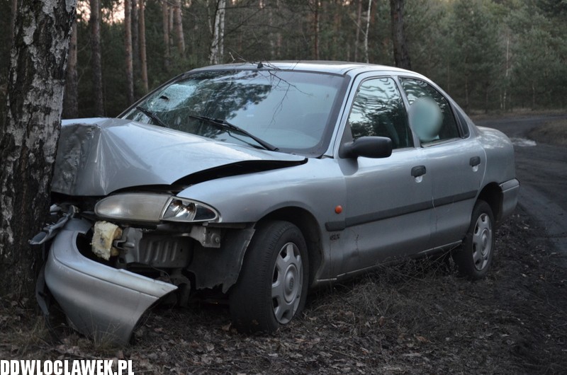 Auto uderzyło w drzewo na ul. Leśnej