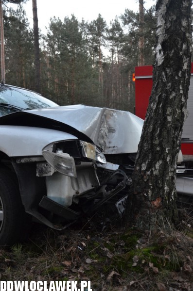 Auto uderzyło w drzewo na ul. Leśnej