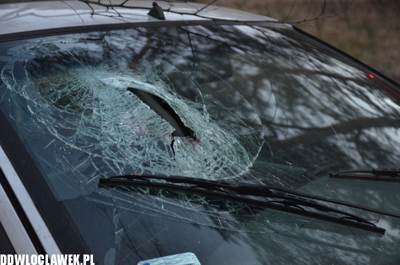 Auto uderzyło w drzewo na ul. Leśnej