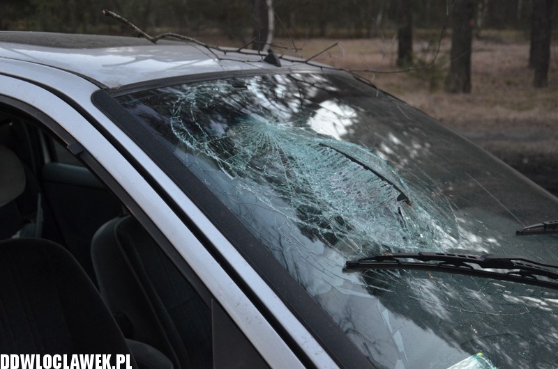 Auto uderzyło w drzewo na ul. Leśnej