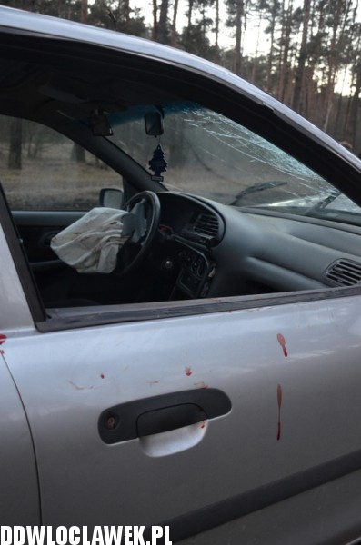 Auto uderzyło w drzewo na ul. Leśnej