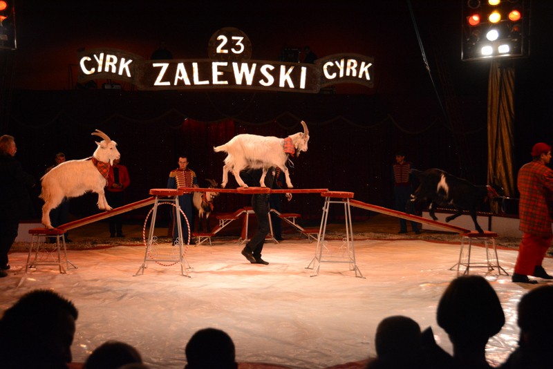 Cyrk Zalewski we Włocławku