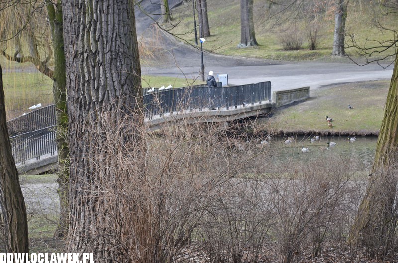 Park Sienkiewicza ma 145 lat