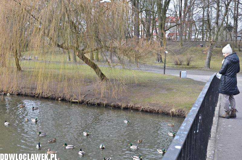 Park Sienkiewicza ma 145 lat