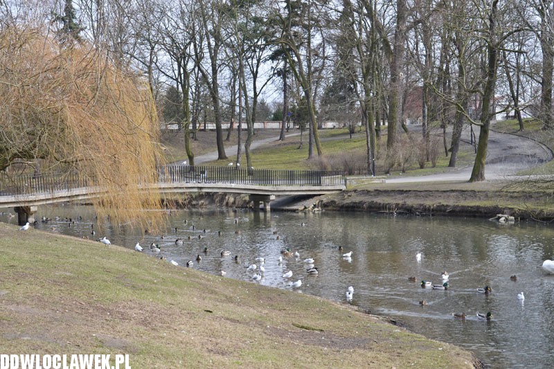 Park Sienkiewicza ma 145 lat